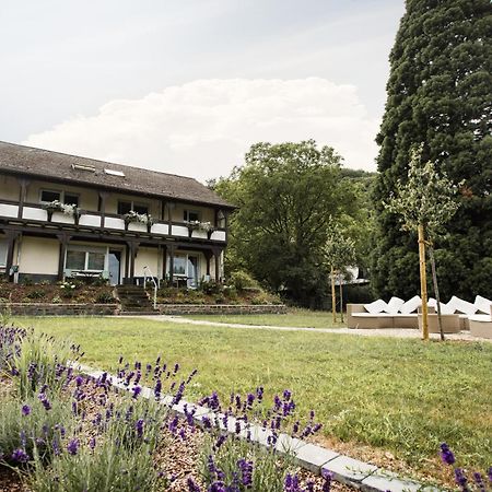 Ferien Weingut Schneider Hotel Ellenz-Poltersdorf Kültér fotó