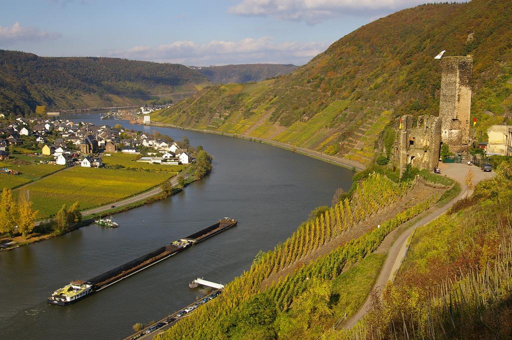 Ferien Weingut Schneider Hotel Ellenz-Poltersdorf Kültér fotó