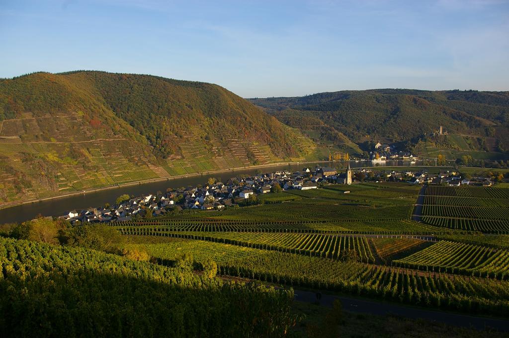 Ferien Weingut Schneider Hotel Ellenz-Poltersdorf Kültér fotó